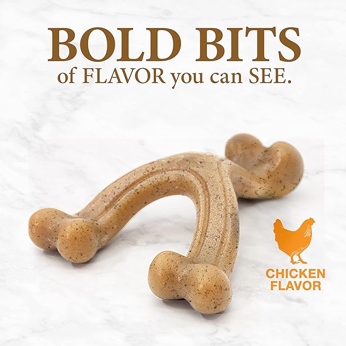 Nylabone Gourmet Style Strong Chew Wishbone Dog Chew Toy, Chicken Flavor, Small/Regular (1 Count)