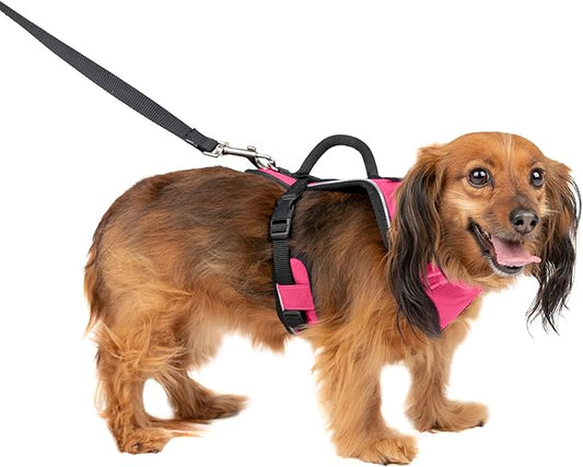 PetSafe EasySport Dog Harness – Adjustable Padded Dog Harness with Control Handle and Reflective Piping – Extra Small, Pink