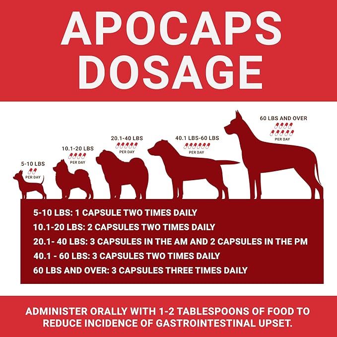 Apocaps CX Apoptogen for Dogs (Pack of 2 Boxes)- 90 Count Each