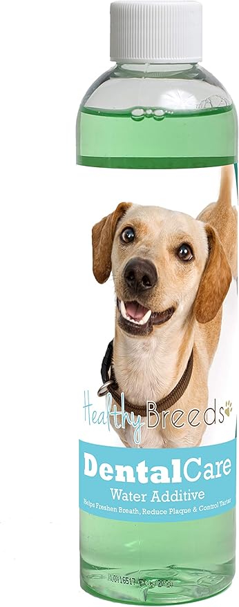 Healthy Breeds Dog Dental Care Water Additive for Chiweenie - Helps Freshen Breath, Reduce Plaque & Control Tartar - Mint Flavor - 8 oz