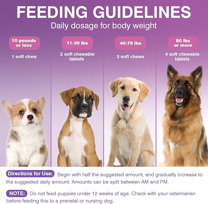 Probiotics for Dogs Dog Probiotic Chews and Digestive Enzymes Prebiotic Health Gut Itchy Skin Probioticos Itching Diarrhea Chew Supplements Canine Pet Prebiotics 200 Natural Soft Chewable Tablets