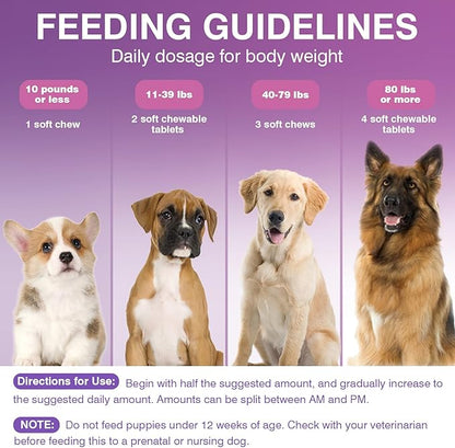 Probiotics for Dogs Dog Probiotic Chews and Digestive Enzymes Prebiotic Health Gut Itchy Skin Probioticos Itching Diarrhea Chew Supplements Canine Pet Prebiotics 200 Natural Soft Chewable Tablets