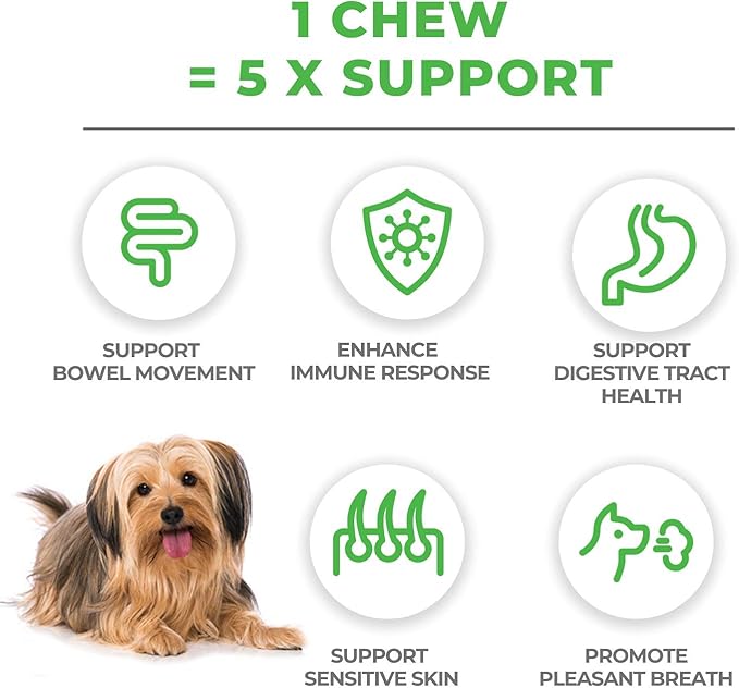 Mighty Petz MAX 5-in-1 Probiotics for Dogs - 4 Billion CFUs Probiotic Chews for Dogs and Digestive Enzymes + Prebiotic + Fiber. Gut Health, Anti Diarrhea, Allergy & Immunity Support