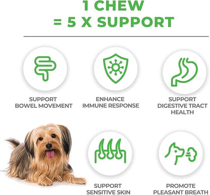 Mighty Petz MAX 5-in-1 Probiotics for Dogs - 4 Billion CFUs Probiotic Chews for Dogs and Digestive Enzymes + Prebiotic + Fiber. Gut Health, Anti Diarrhea, Allergy & Immunity Support