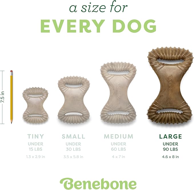 Benebone Dental Durable Dog Chew Toy for Aggressive Chewers, Real Bacon, Made in USA, Large