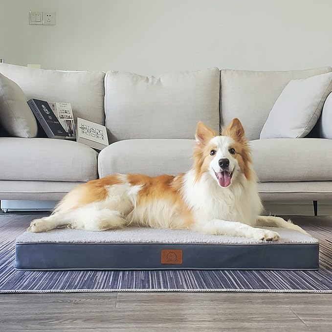Extra Large Dog Bed XL Orthopedic Dog Bed, Big Dog Bed with Removable Waterproof Cover and Machine Washable Dog Bed, Pet Bed Mat Egg-Crate Foam, XL(41"X27"X3"), Grey