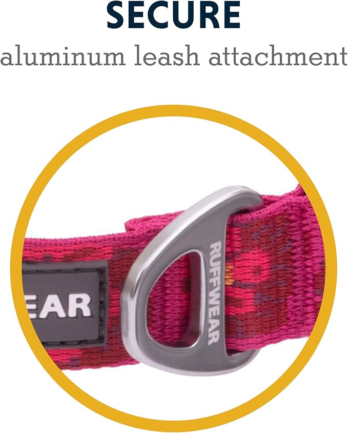 Ruffwear, Flat Out Dog Collar (Formerly Hoopie), Webbing Collar for Walking and Everyday Use, Alpenglow Burst, 20"-26"