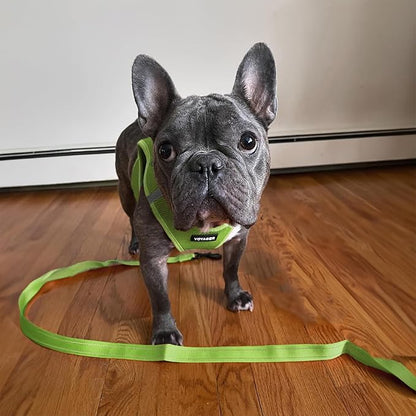 Voyager Reflective Dog Leash with Neoprene Handle, 5ft Long, Supports Small, Medium, and Large Breed Puppies, Cute and Heavy Duty for Walking, Running, and Training - Lime Green (Leash), S
