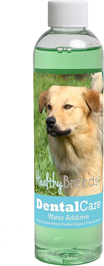 Healthy Breeds Dog Dental Care Water Additive for Chinook - Helps Freshen Breath, Reduce Plaque & Control Tartar - Mint Flavor - 8 oz