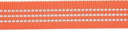 Carhartt Dog Leash, Durable Nylon Webbing Dog Leash, Hunter Orange, Large