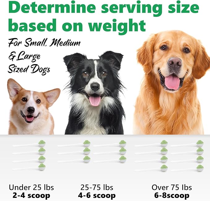 2 PACK Dog Teeth Cleaning Powder,Dog Dental Powder with Probiotics Effectively Remove Tartar,Plaque,Stains,Bad Breath,Dog Teeth Cleaning Power Support Oral Care for Small,Medium,Large Dogs,1.05oz