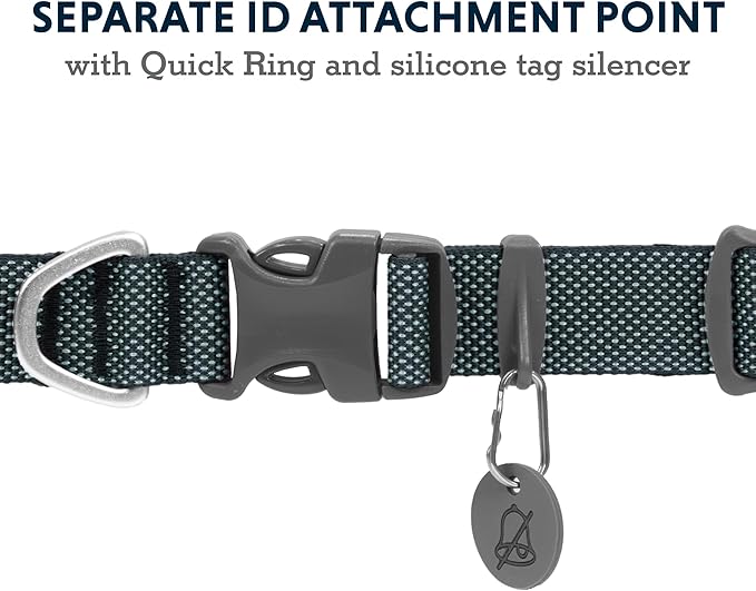 Ruffwear, Hi & Light Dog Collar, Minimal and Ultralight Collar for Everyday Walks and Runs, Basalt Gray, 14"-20"