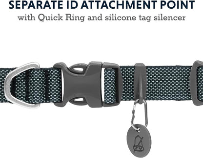 Ruffwear, Hi & Light Dog Collar, Minimal and Ultralight Collar for Everyday Walks and Runs, Basalt Gray, 9"-11"
