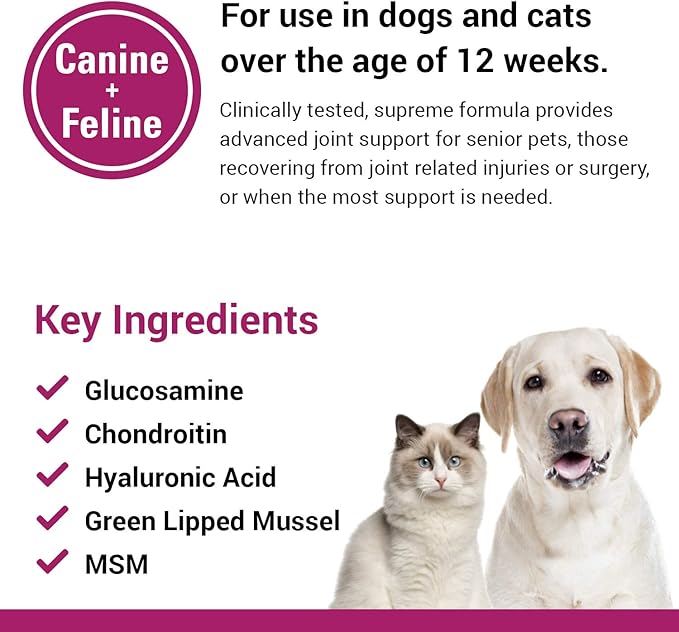Vet Classics ArthriEase-Gold Hip & Joint Support for Dogs, Cats, Horses – Chewable Tablet Health Supplement – Alleviate Aches, Discomfort – for Flexibility, Healthy Joint – Antioxidant - 120 Ct