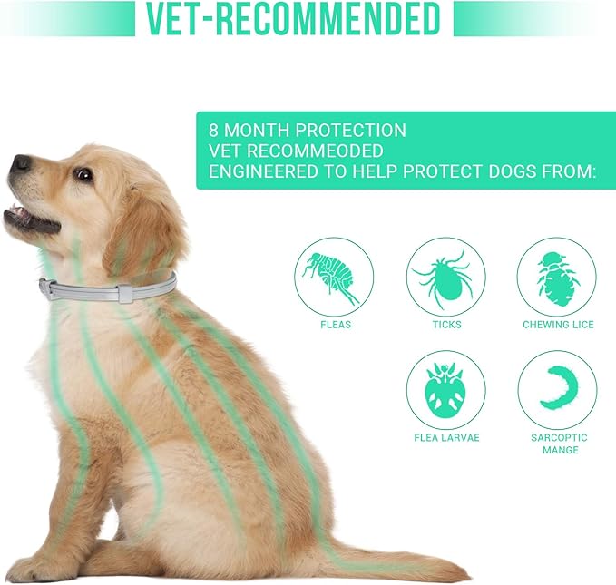 Flea and Tick Collar for Small Dogs with Flea Comb,8-Month Tick and Flea Control for Dogs Under 18 Lbs,Safe,Waterproof,Adjustable,2 Pack