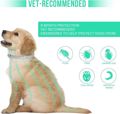 Flea and Tick Collar for Small Dogs with Flea Comb,8-Month Tick and Flea Control for Dogs Under 18 Lbs,Safe,Waterproof,Adjustable,2 Pack