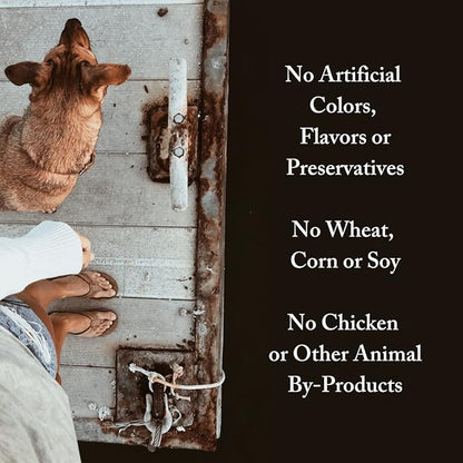 Wild Alaskan Salmon Grain-Free Dog Food | No Chicken or Other Animal by-Products | Rich in Omega 3 & 6 Fatty Acids | Sustainably Sourced Wild Caught Fish | Made in The USA | 4lb Bag