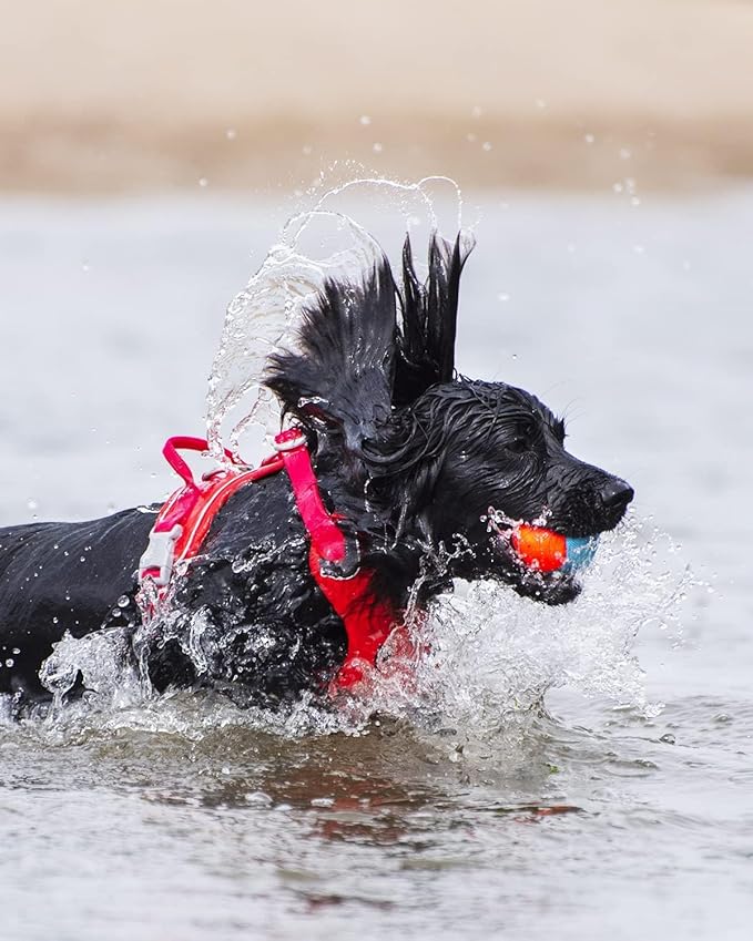 Chuckit! Amphibious Fetch Balls (Set of 3) Paraflight Flying Disc Dog Toy, Large (9.75")