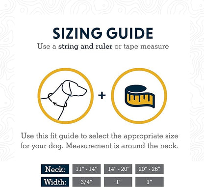 Ruffwear, Chain Reaction Dog Collar, Martingale Style for On-Leash Walking, Granite Gray, 20"-26"