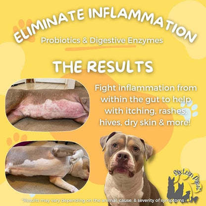 Probiotics, Prebiotics, & Digestive Enzymes for Dogs| Limited Ingredients| Digestive Support |Allergy Relief |Immune Support| Reduces Inflammation| Diarrhea & Gas Relief