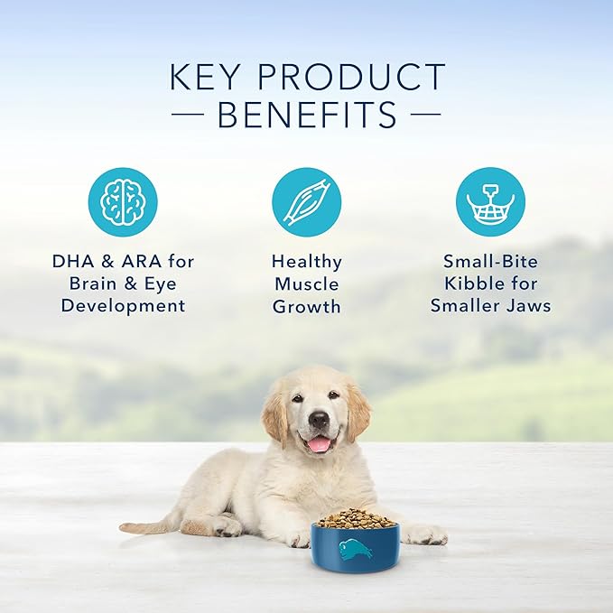 Blue Buffalo Life Protection Formula Natural Puppy Dry Dog Food, Lamb and Oatmeal 30-lb