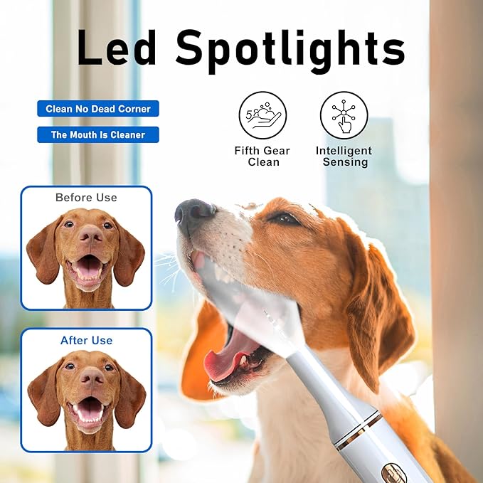 5 Modes Plaque Remover for Teeth,Dog Teeth Cleaning Kit,Dog Teeth Cleaning, Dental Tools to Remove Tartar and Stains, Safe for Dogs & Cats, with Led Light & 5 Adjustable Modes (White)