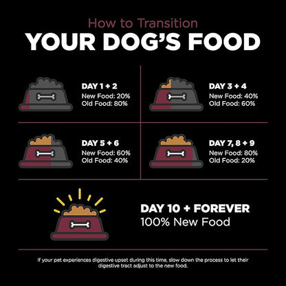 GO! SOLUTIONS Sensitivities – Lamb Recipe – Limited Ingredient Dog Food, 12 lb – Grain Free Dog Food for All Life Stages – Dog Food to Support Sensitive Stomachs