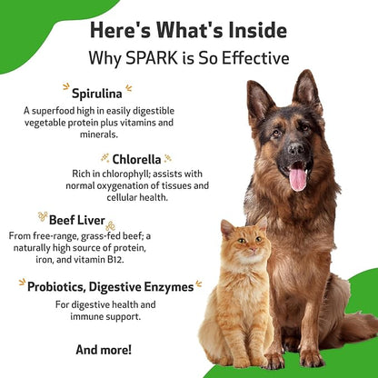Pet Wellbeing Spark Daily Nutritional Greens Superfood for Dogs & Cats - Probiotics, Digestive Enzymes, Amino Acids, Antioxidants, Vitamin D, Spirulina & More - Vet-Formulated - 3.53 oz (100 g) Powder