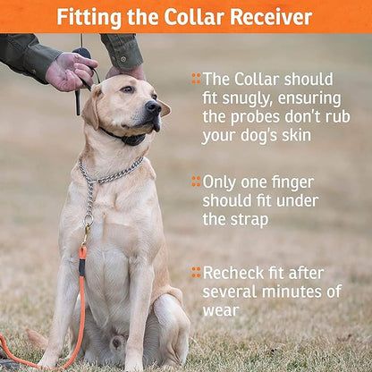 SportDOG Brand Contain + Train System - In-Ground Fence Kit with Remote Trainer & 2 E-Collars - Waterproof, Rechargeable - Tone, Vibrate, & Shock - Expandable to Multiple Dogs - 100 Acre Capability
