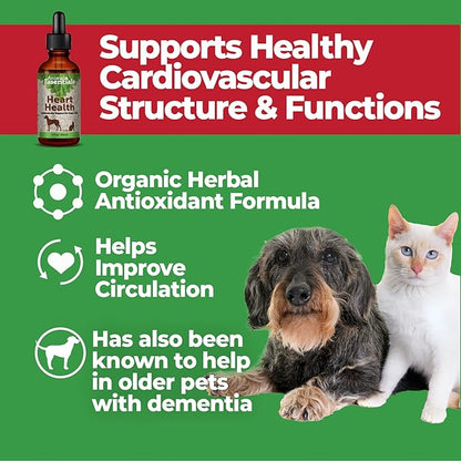 Animal Essentials Heart Health Cardio Strength for Dogs and Cats, 2 fl oz - Made in USA Organic Hawthorn Berries Alcohol Free