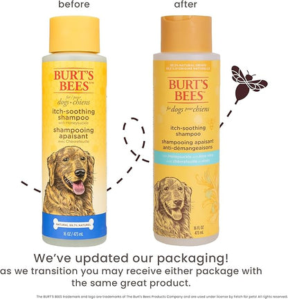 Burt's Bees for Pets Naturally Derived Itch Soothing Shampoo with Honeysuckle - Anti-Itch Dog Shampoo for All Dogs - Cruelty Free, Formulated without Sulfates and Parabens, Made in the USA, 16 Ounces