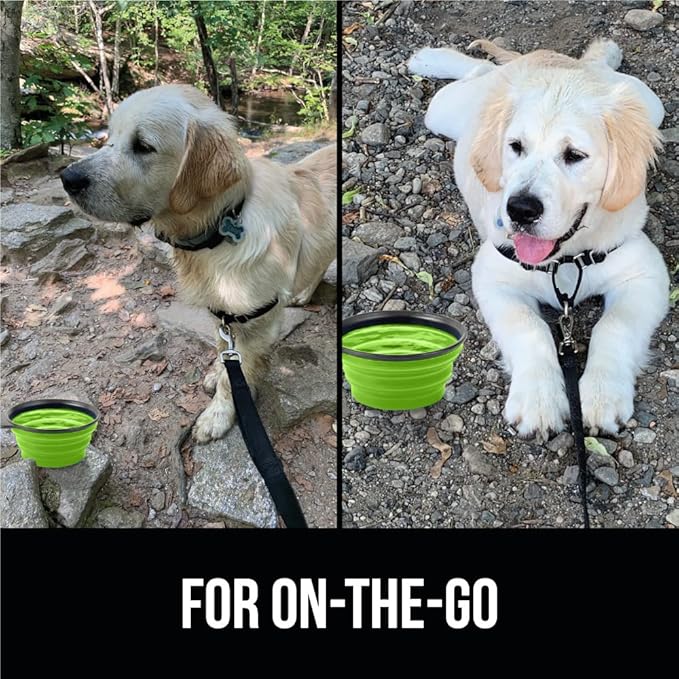 Gorilla Grip Collapsible Dog Bowl, Silicone Set of 2 Travel Bowls with Carabiner, Foldable and Portable Accessories for Cat and Dogs, Small Pet Hiking Supplies, Food and Water, 1 Cup, Royal Blue/Green
