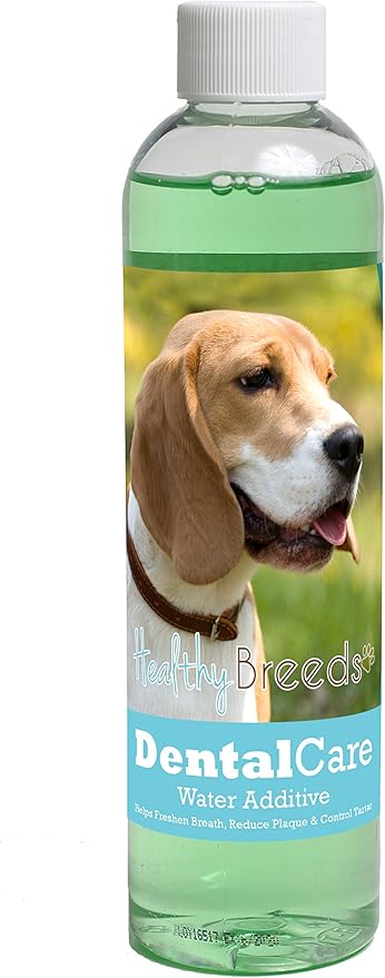 Healthy Breeds Dog Dental Care Water Additive for Beagle - Helps Freshen Breath, Reduce Plaque & Control Tartar - Mint Flavor - 8 oz