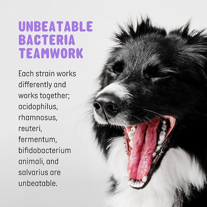 | Pet Probiotics for Dogs | Dog Probiotics and Digestive Enzymes for Dogs Diarrhea, Gut Health for dogs | Probiotic chews for Dogs w/Fiber, Puppy probiotic digestive health, 120 ct