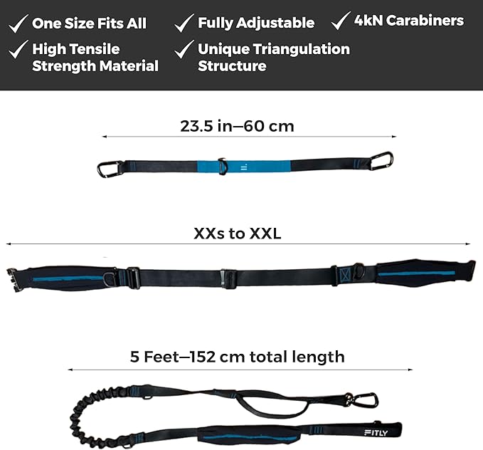 Dog Running Waist Belt - Running Dog Lead - Canicross Harness Carry Personal Items Running, Walks, Hikes - Waist Leads for Dogs with Belt Pouch, Converts into Canicrossing Line - Emerald Blue