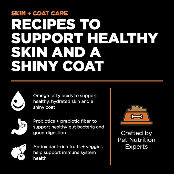 GO! SOLUTIONS Skin + Coat Care - Dry Dog Food, 12 lb - Salmon Recipe with Grains for All Life Stages - Complete + Balanced Nutrition for Dogs