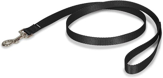 PetSafe Nylon Dog Leash - Strong, Durable, Traditional Style Leash with Easy to Use Bolt Snap - 3/4 in. x 4 ft., Black