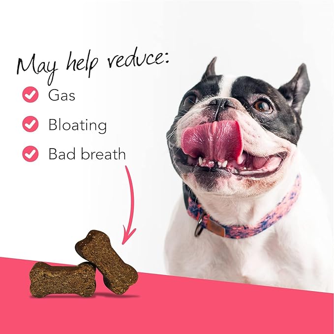 VetriScience Probiotic Everyday for Dogs, Duck Flavor, 120 Chews & Omega Plus Advanced Skin Supplement for Dogs, 40 Chews