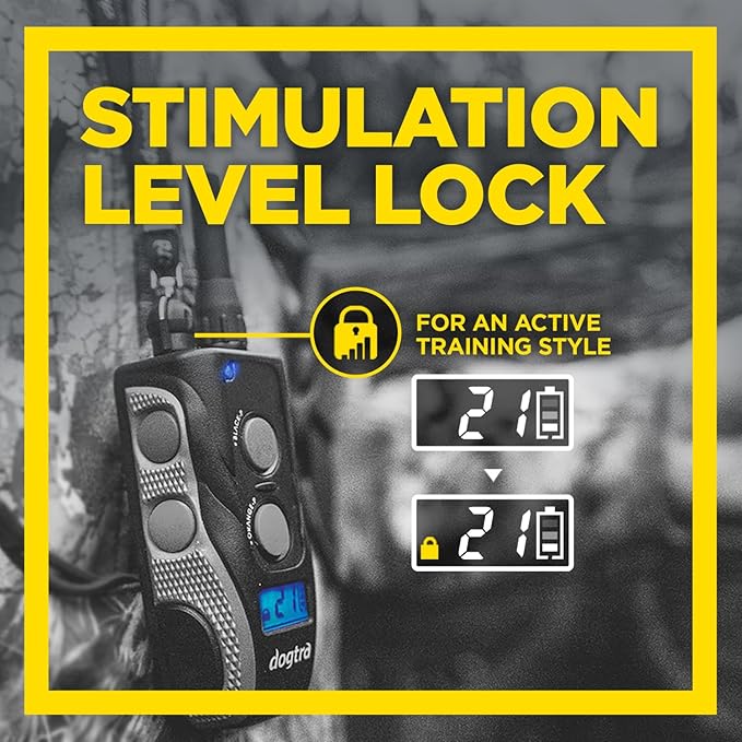 Dogtra 1900S Black - Remote Training Collar - 1 Mile Range, Waterproof, Rechargeable, Static, Vibration - includes PetsTEK Dog Training Clicker