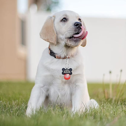 Dog Tag Clips with Keychains, Durable Dog ID Tag with Tag Rings Stainless Steel Pet Tag Clip for Large Dogs Collar Harnesses 1.3 x 0.6 in 6 Clips 18 Rings