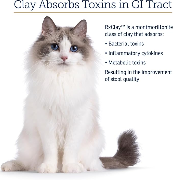 Rx Vitamins Rx Edible Clay Powder - Anti Diarrhea for Dogs & Cats and Promotes Gas Relief for Dogs - Aids in Cat Digestive Support and Dog Constipation Relief - 3.52 oz