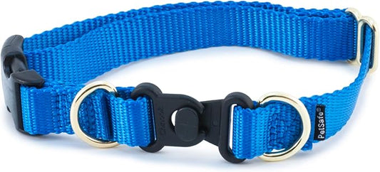 PetSafe KeepSafe Break-Away Collar, Prevent Collar Accidents for your Dog or Puppy, Improve Safety, Compatible with Leash Use, Adjustable Sizes, 3/4 in Wide, Medium, Royal Blue