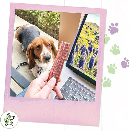 Nature Gnaws - Beef Jerky Chews for Small Dogs - Premium Natural Beef Gullet Sticks - Simple Single Ingredient Tasty Dog Chew Treats - Rawhide Free - 4-5 Inch