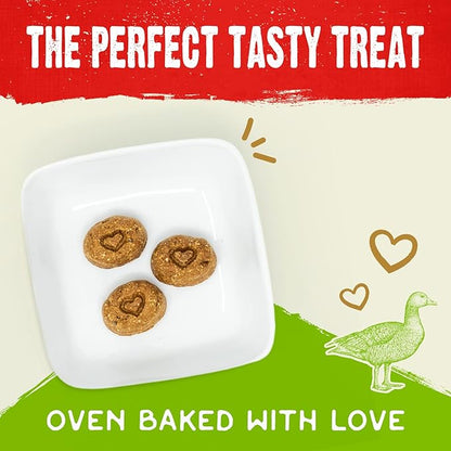 Stella & Chewy's Freeze-Dried Raw Coated Dog Biscuits – Cage-Free Duck Recipe – Protein Rich, Grain Free Dog & Puppy Treat – Great Snack for Training & Rewarding – 9 oz Bag