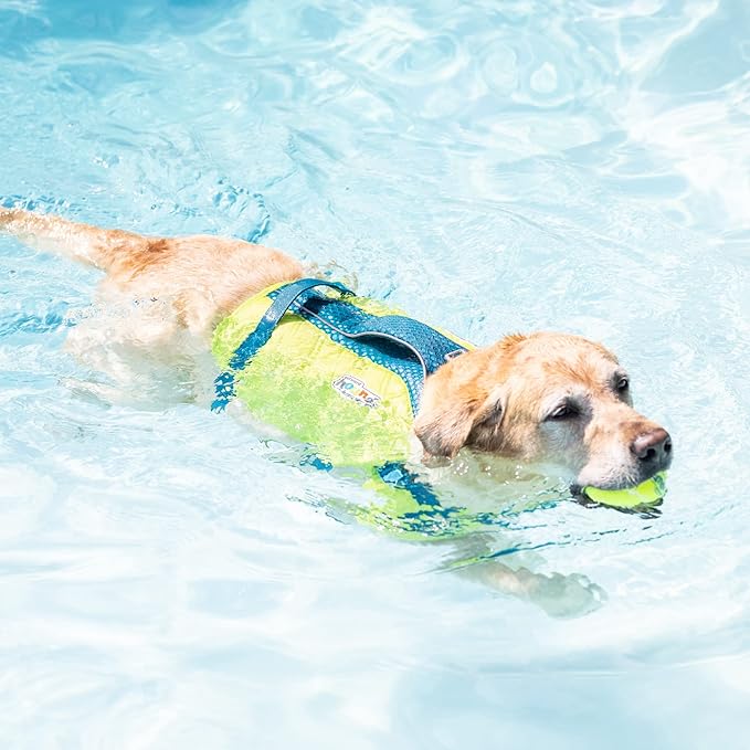 Outward Hound Standley Sport Green Performance Dog Life Jacket, Medium