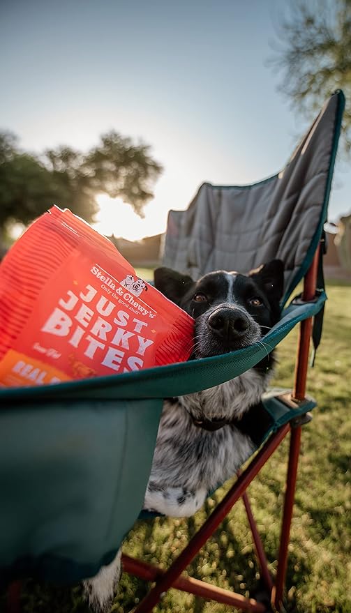 Stella & Chewy's Just Jerky Bites Real Chicken Recipe Dog Treats, 6 oz. Bag