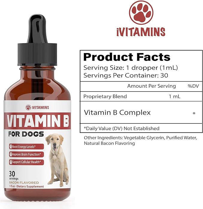 Vitamin B for Dogs | Vitamin B Complex for Dogs | Vitamin B12 for Dogs | Dog Vitamins | B12 Vitamins for Dogs | Vitamin B Dog Supplements | B Complex for Dogs | B12 for Dogs | Do1 fl oz: Bacon Flavor