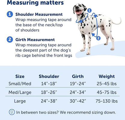 PetSafe Easy Walk Comfort No-Pull Dog Harness Full-Body Padding - Better Walks on The First Use - 5 Points of Adjustment Small/Medium, Blue