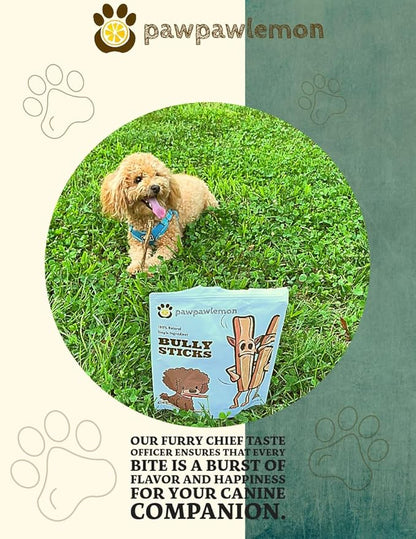 Bully Sticks for Dogs (6 inch Pack of 20) | Long Lasting Natural Dog Chew | Single Ingredient 100% Beef Pizzle | Packed in The USA | Standard Thickness