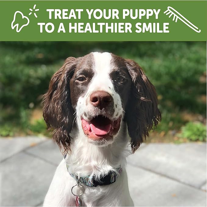 Whimzees by Wellness Dental Treats for Puppies, Natural, Grain Free, Helps to Clean Teeth, Freshen Breath, Reduce Tartar & Plaque, Longer Lasting Chew (M/L)